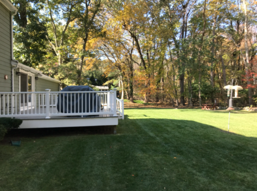 Back yard deck